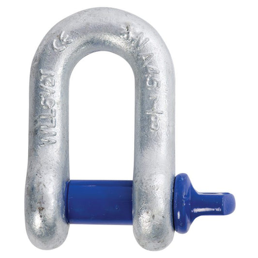 Dee Shackle